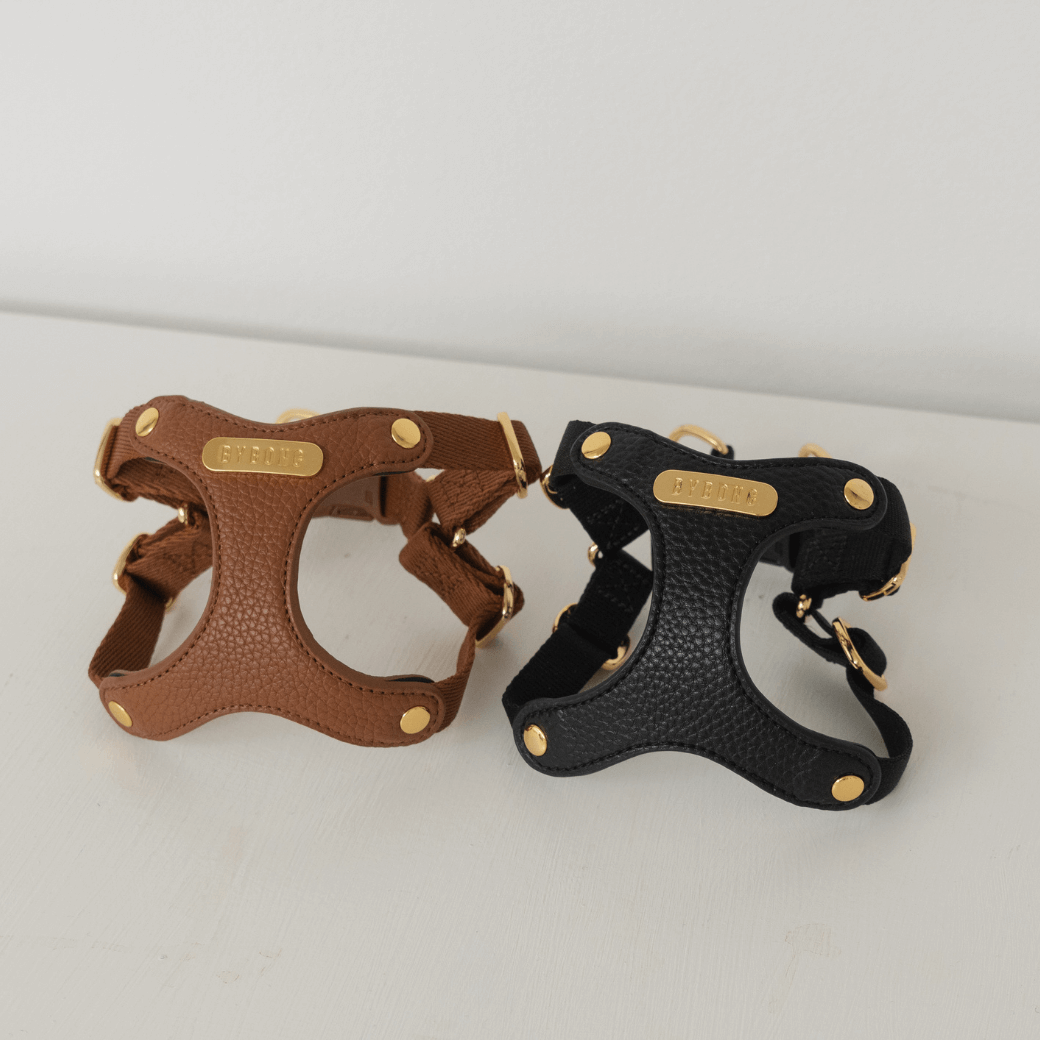 DELIGHT HARNESS(キャメル)