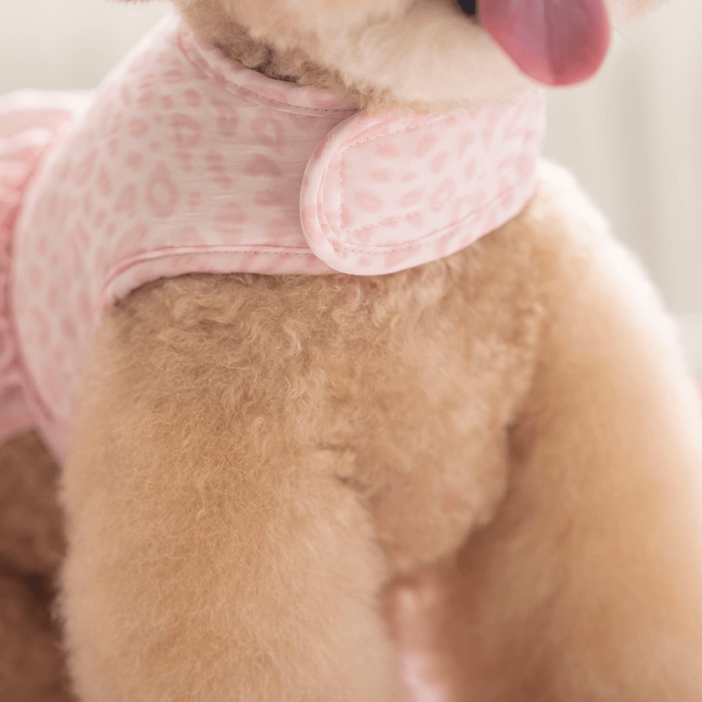 Leopard Pop Leash (pink)