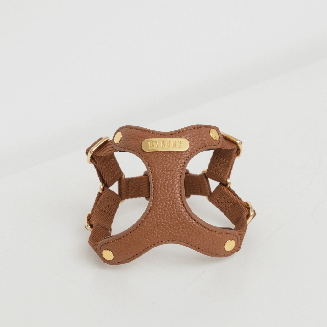 DELIGHT HARNESS(キャメル)