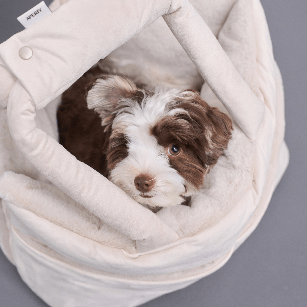 【10/22 20:00 販売開始】wide bag - suede peach ivory(APERTY)