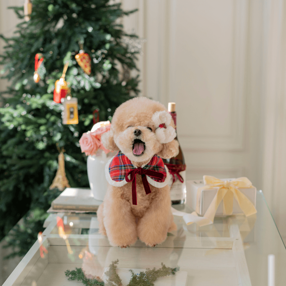Merry Check Fur Hair Pin(2color)