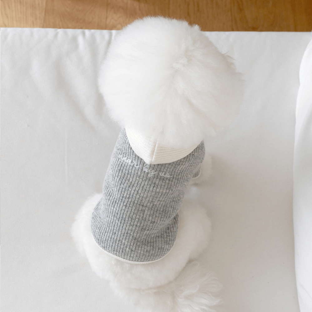 palette wool knit top (light mellange)