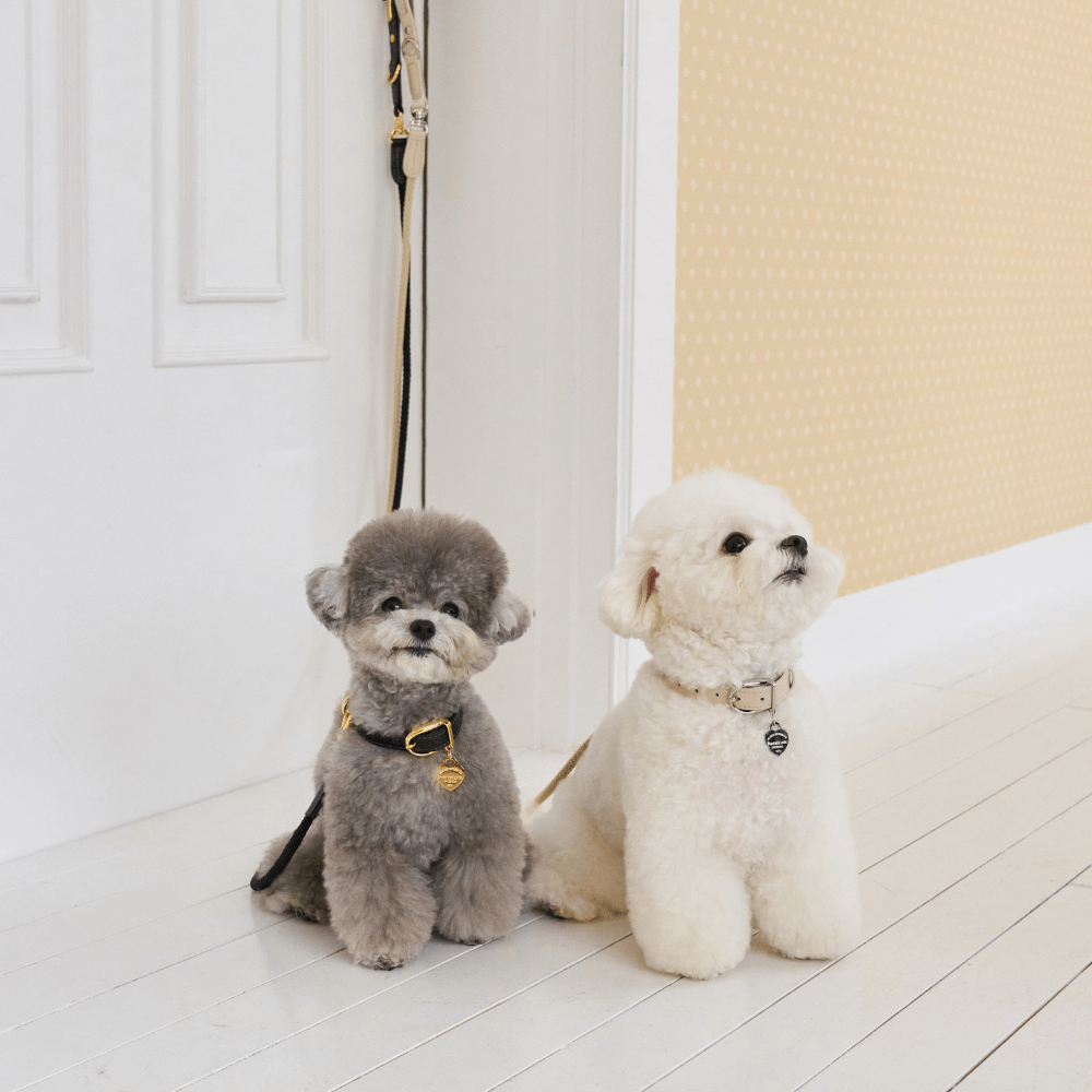 【予約】BLISS ROPE LEASH(Baby Cream)