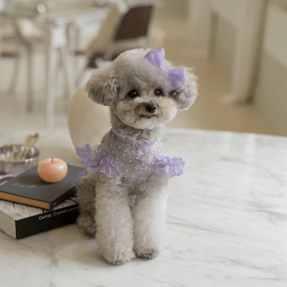 Odette Hair Pin(4colors)