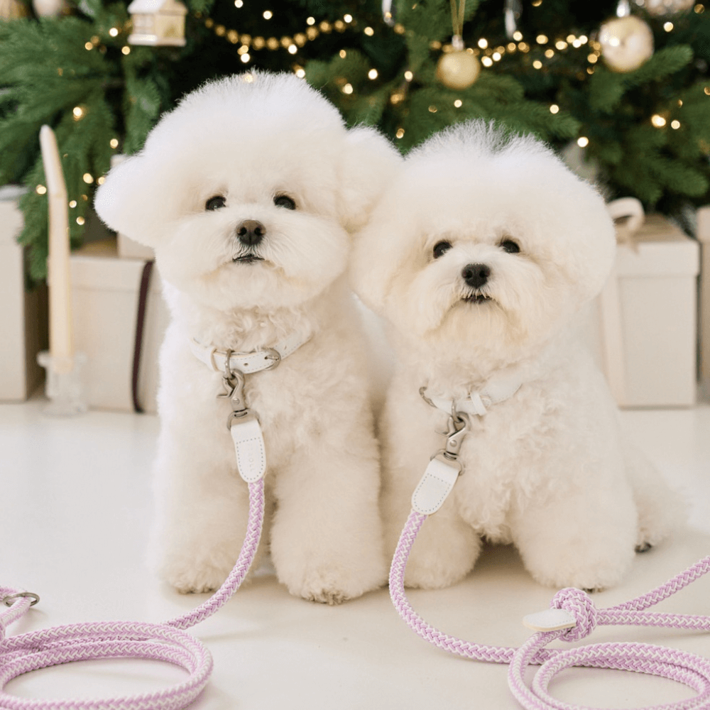 Classic Leash 1.8m 手持ちリード(ライラック)