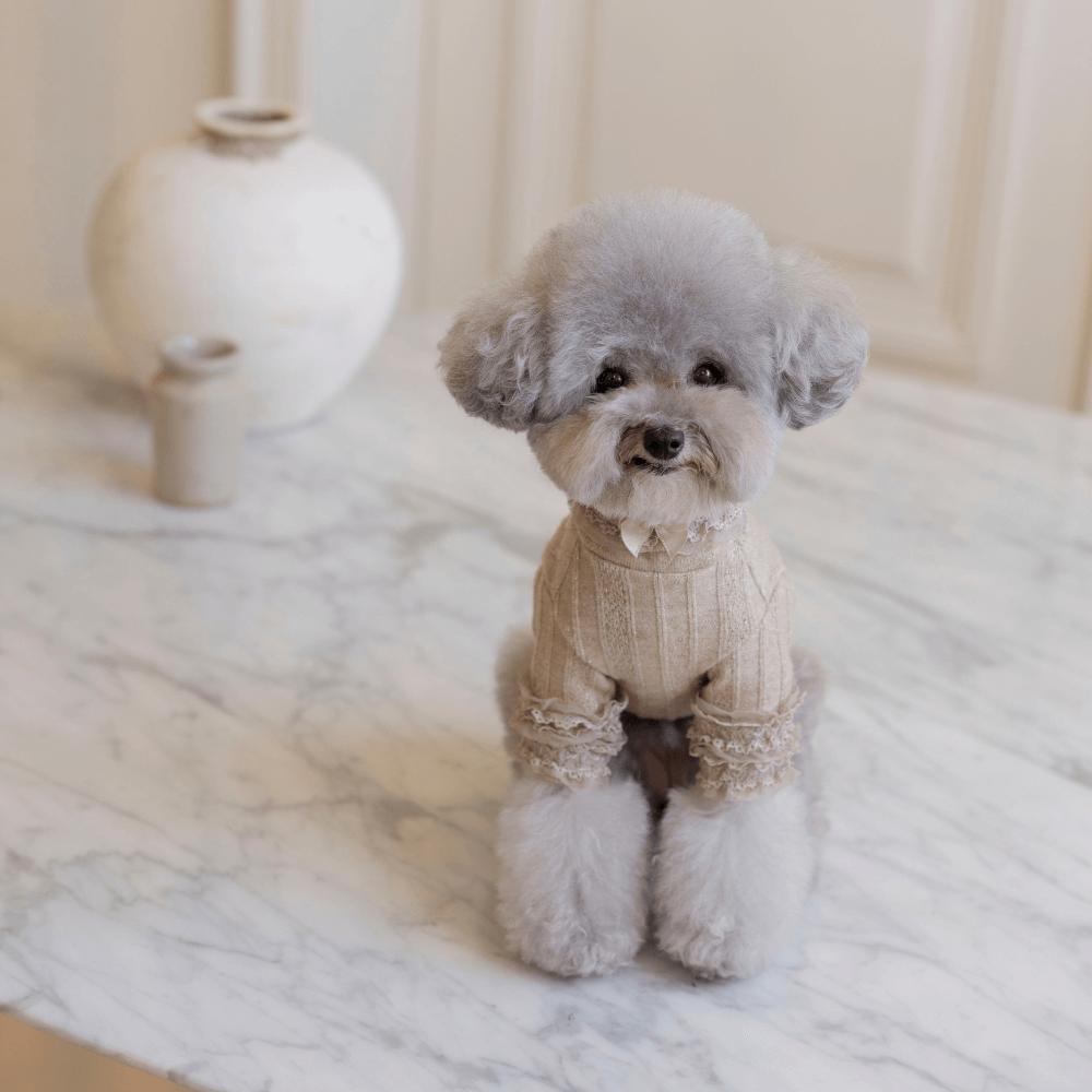 7th Limited Edition Lace Turtleneck(Latte)