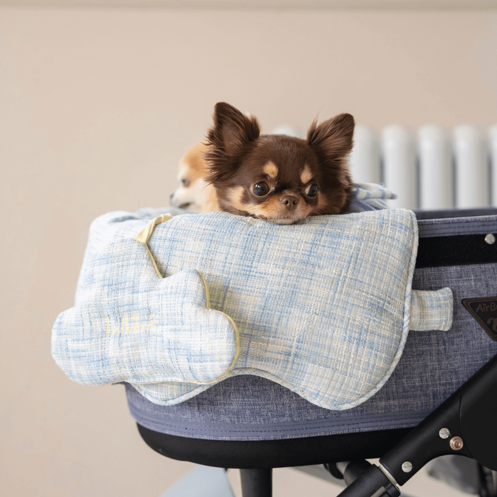 【予約】Blue Summer Tweed Buggy Guard