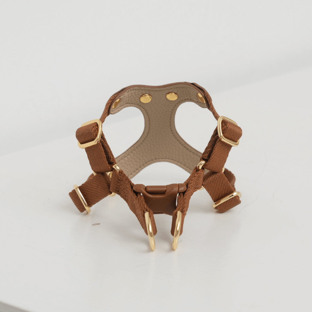 DELIGHT HARNESS(キャメル)