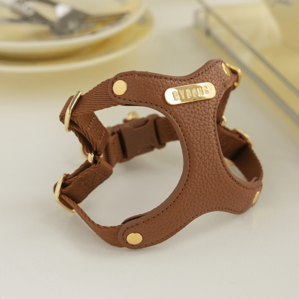 DELIGHT HARNESS(キャメル)