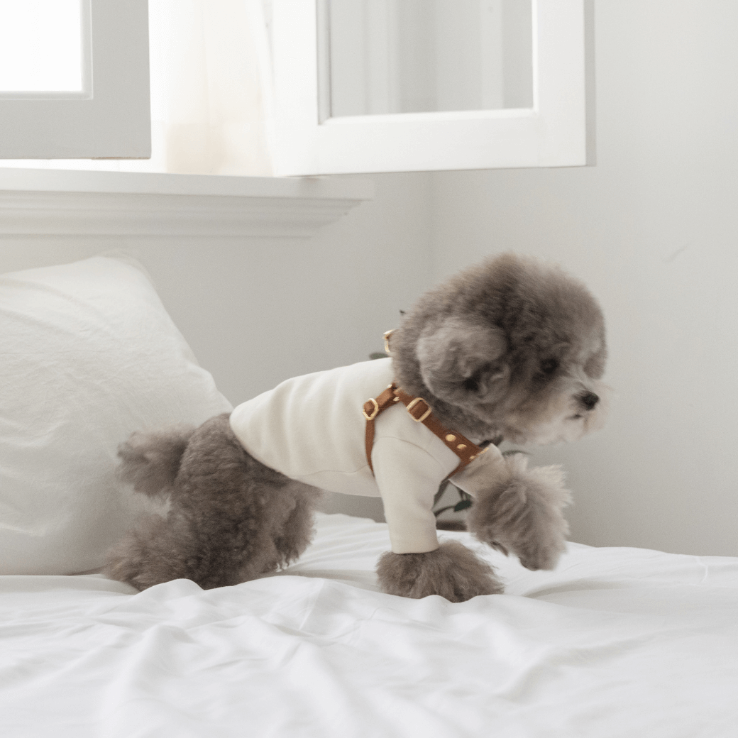 DELIGHT HARNESS(キャメル)