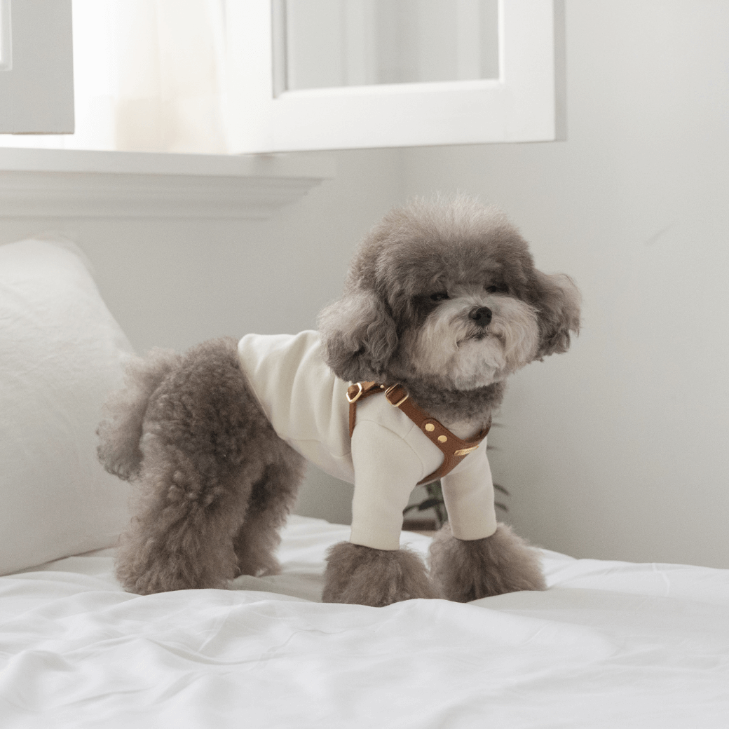DELIGHT HARNESS(キャメル)
