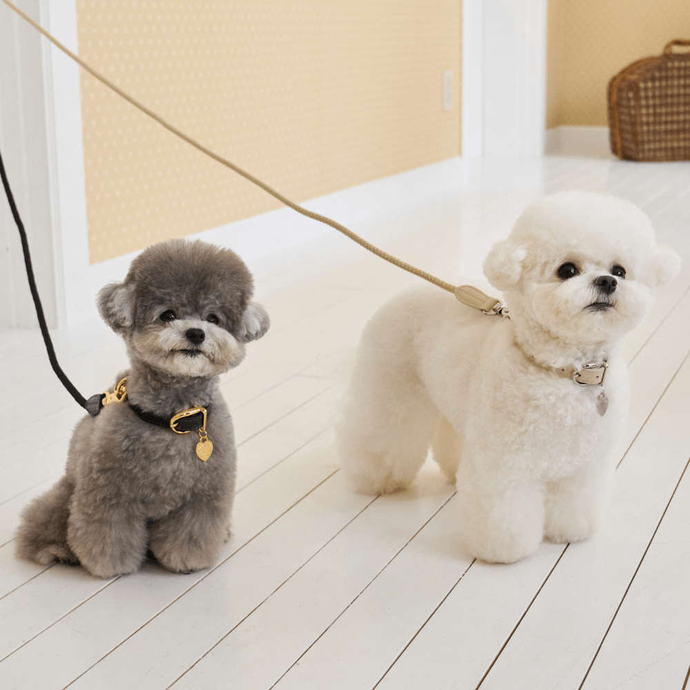 【予約】BLISS ROPE LEASH(Baby Cream)