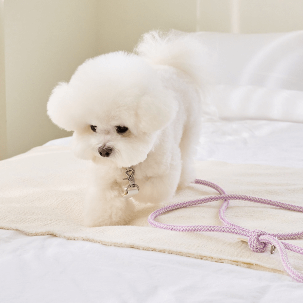 Classic Leash 1.8m 手持ちリード(ライラック)
