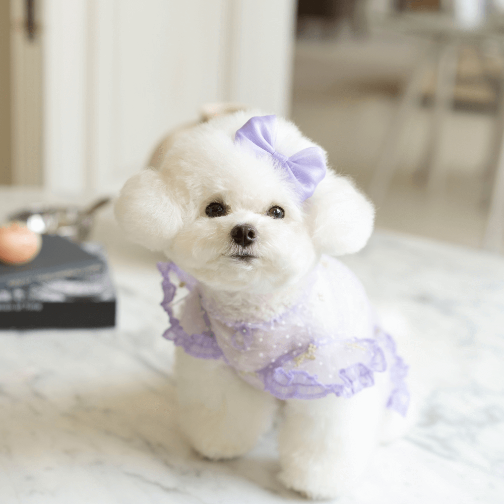 Odette Blouse(Lavender Haze)