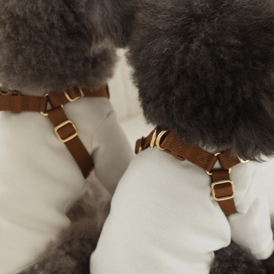 DELIGHT HARNESS(キャメル)