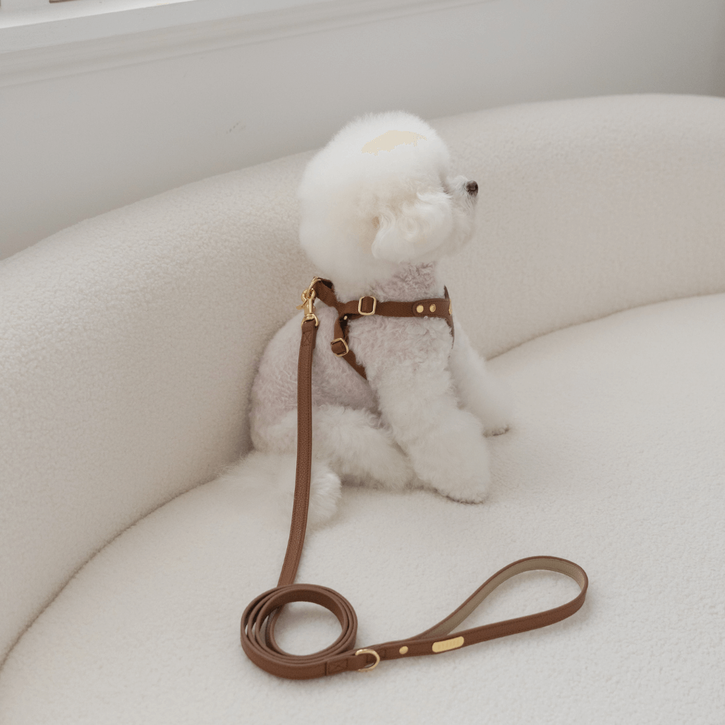 DELIGHT HARNESS(キャメル)
