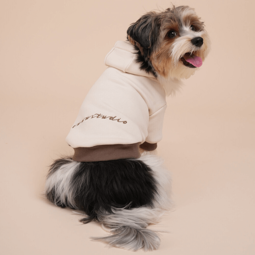 ORGANIC HOODIE (Ivory)