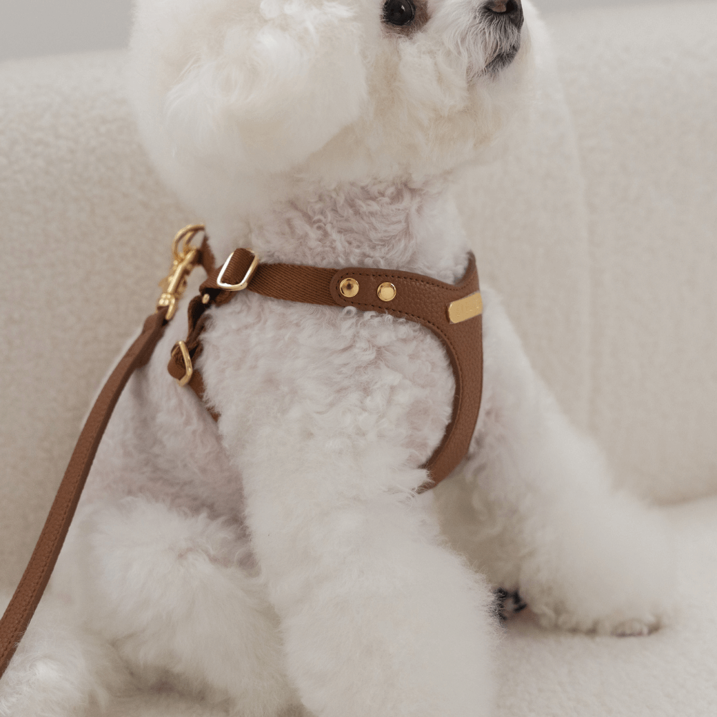 DELIGHT HARNESS(キャメル)