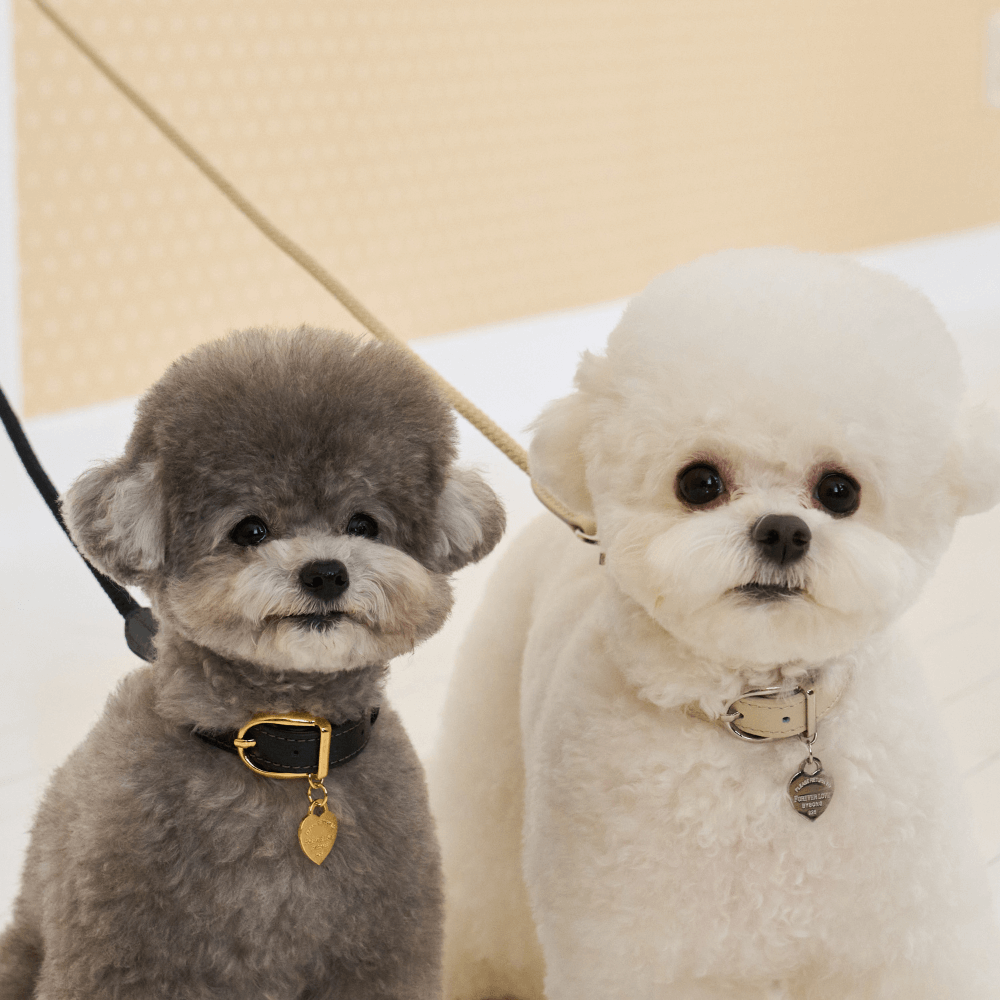 【予約】BLISS ROPE LEASH(Baby Cream)