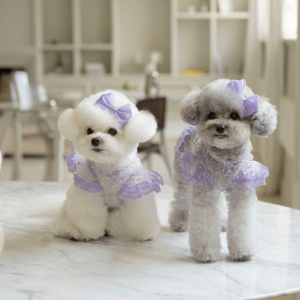 Odette Blouse(Lavender Haze)