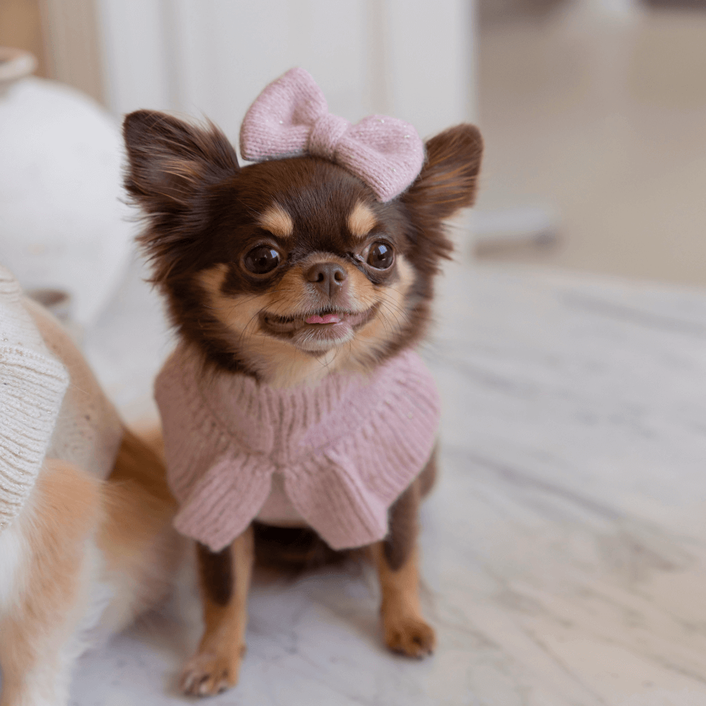 Glitter Frill Knit(Dusty Pink)
