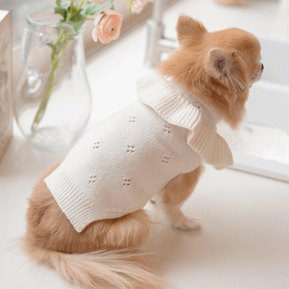 Frill Knit(Ivory)