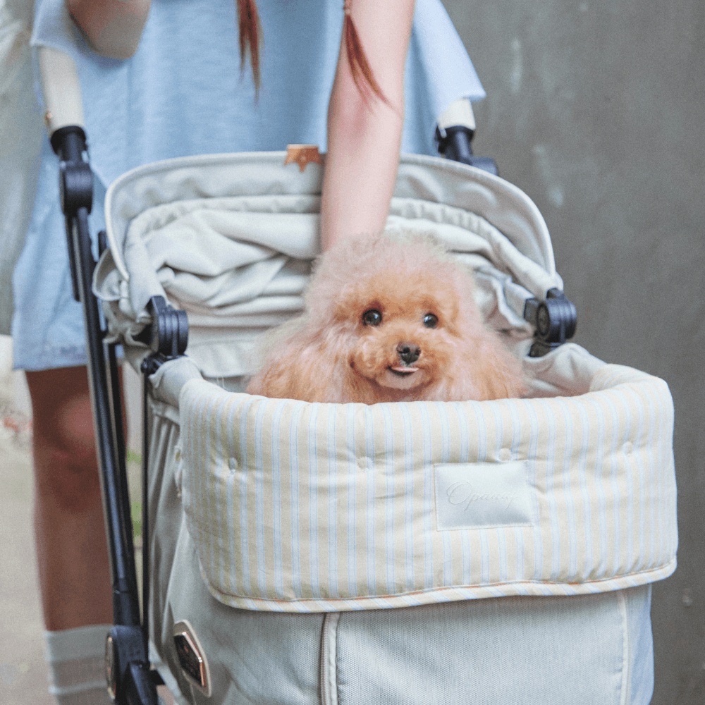 【予約】Buggy Puff (Yellow)