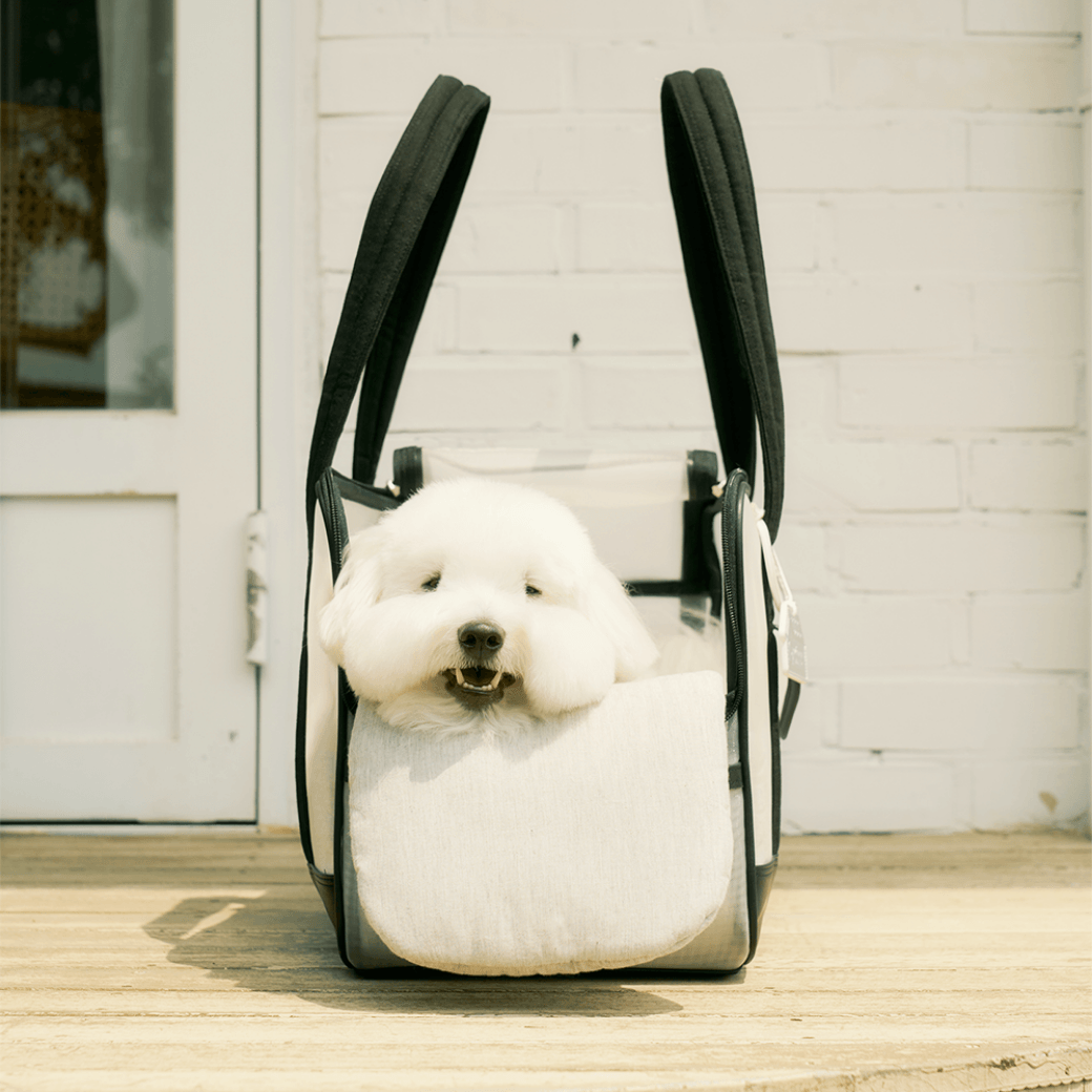 Mesh Ballon Bag - Black & Grey(Seoru)