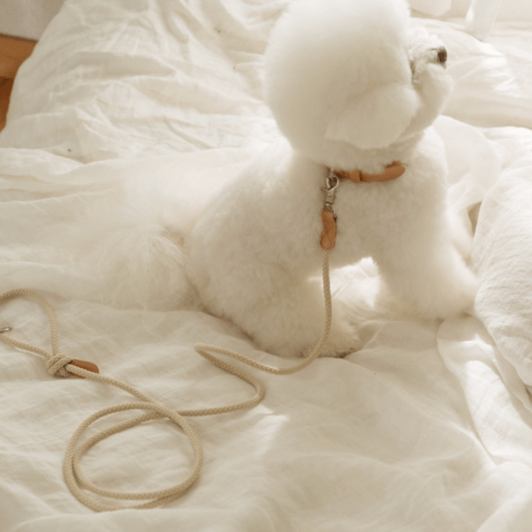 Rope Leash (Beige)