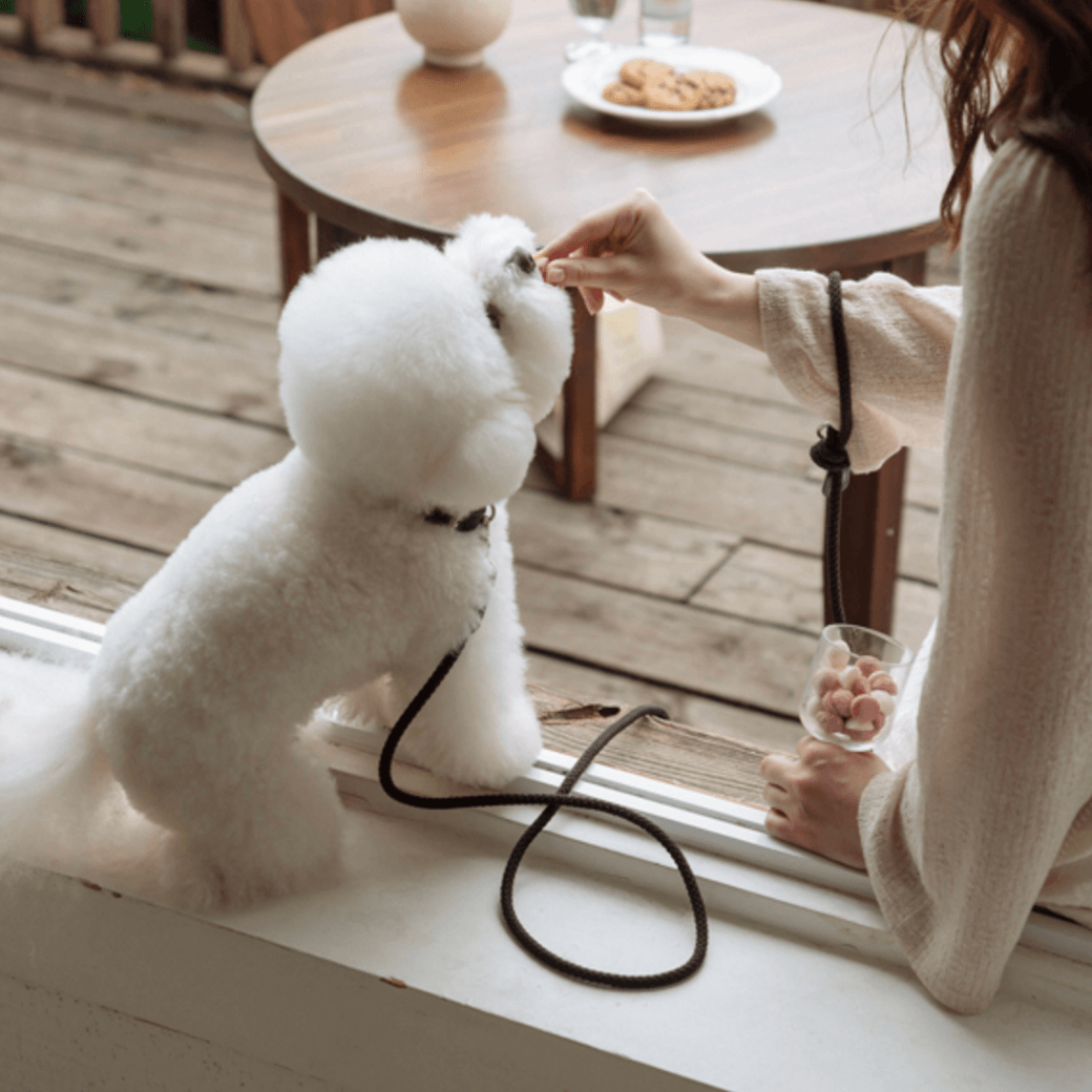 Rope Leash (Black)