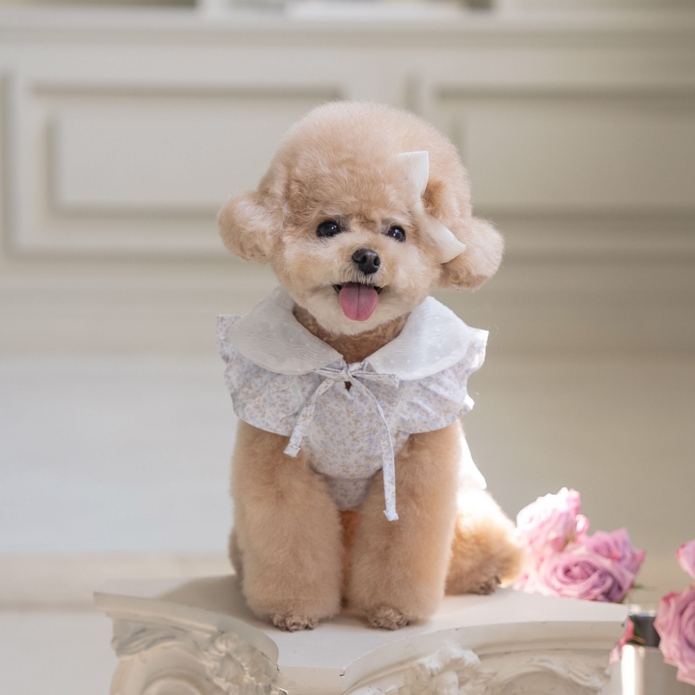 New Greenery Dress (Blue)