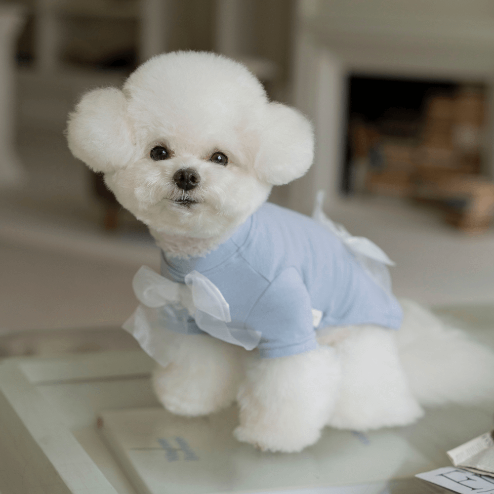 Wool-Like Bow T-shirt (Blue)