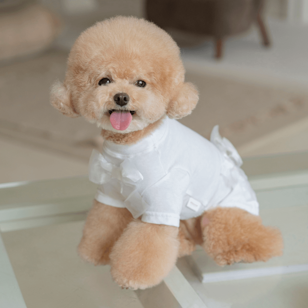 Wool-Like Bow T-shirt (White)