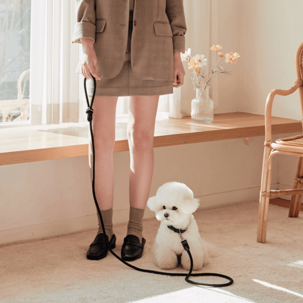 Rope Leash (Black)