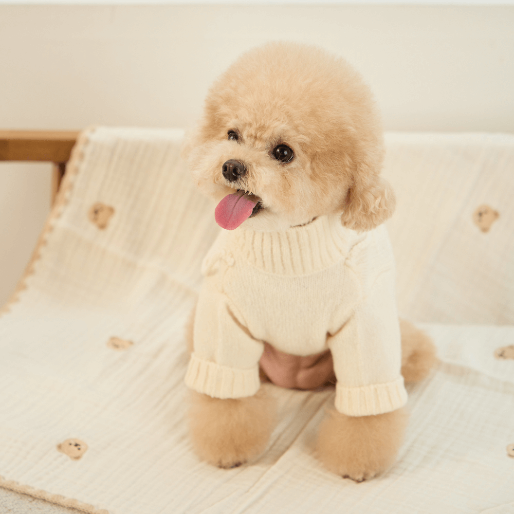 ポケットトイニットプルオーバー(アイボリー)