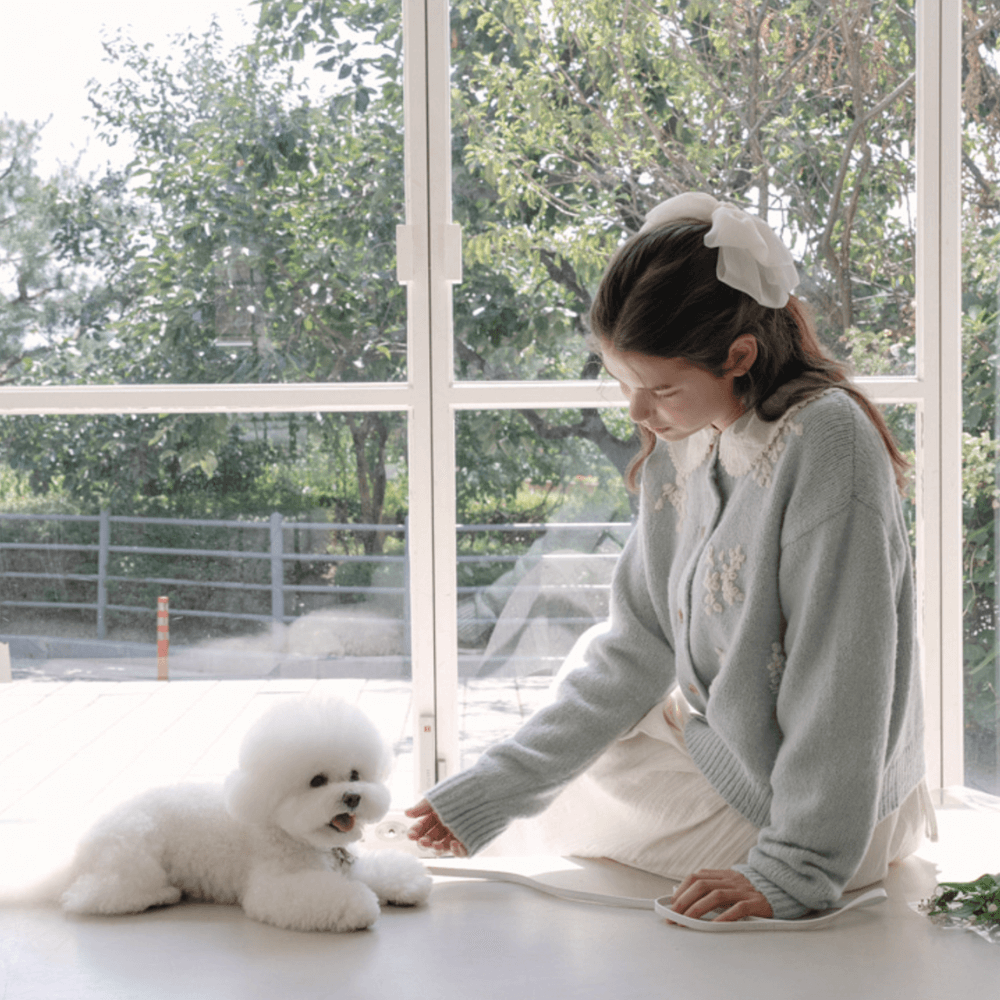 Lumiere Collar (White)