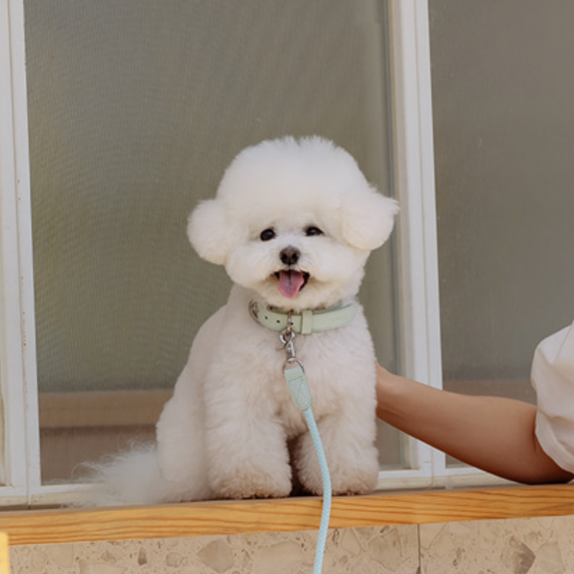 Rope Collar(ミント)