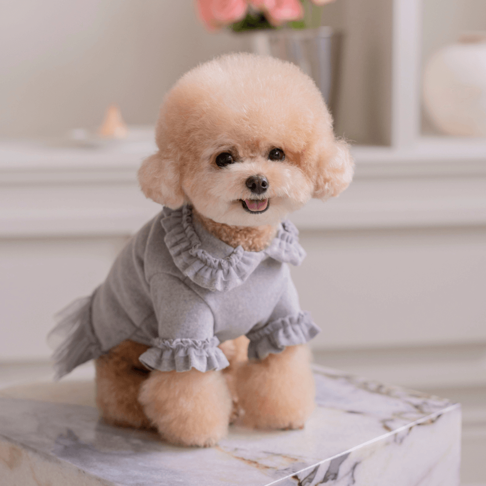 Plie Tu-Tu T-shirt(Gray)