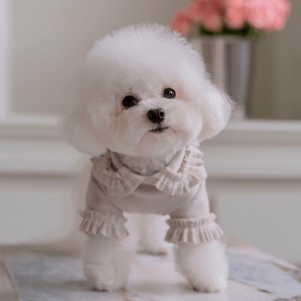 Plie Tu-Tu T-shirt(Beige)