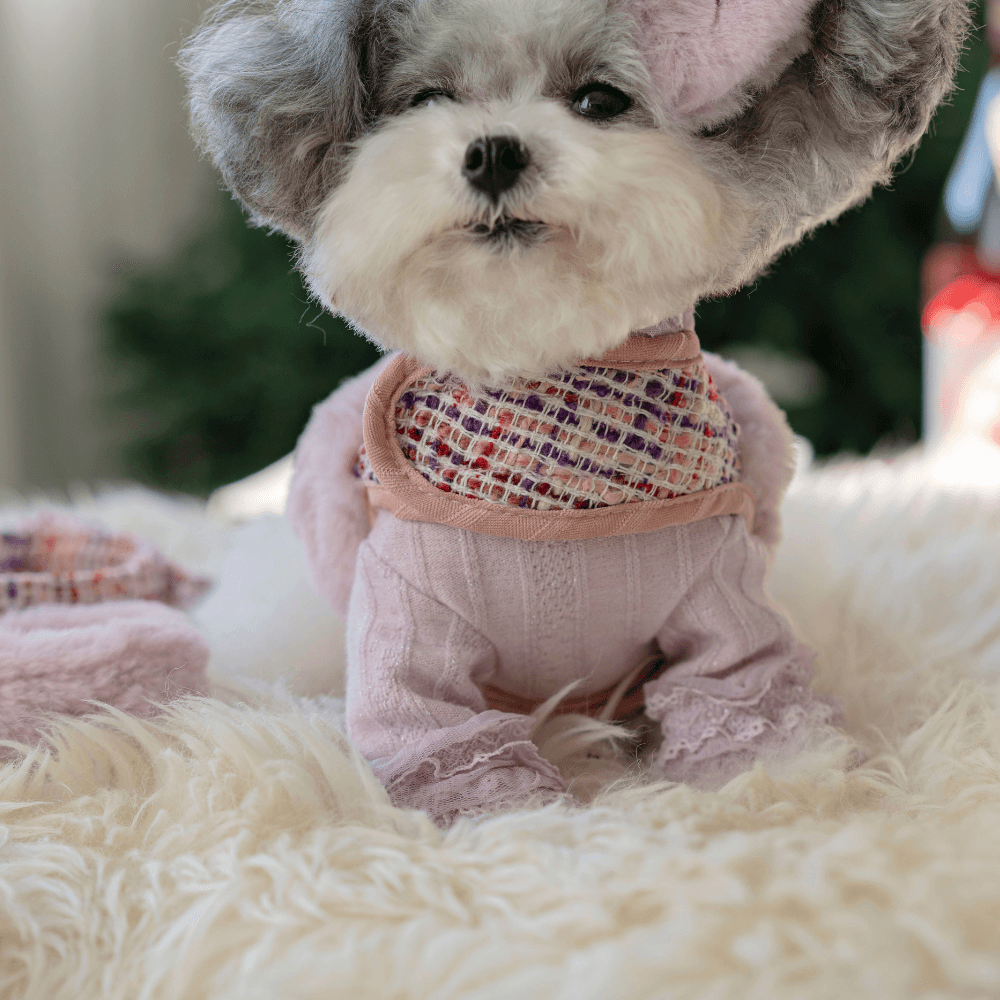 COCO Holiday Tweed Harness(Red Purple)