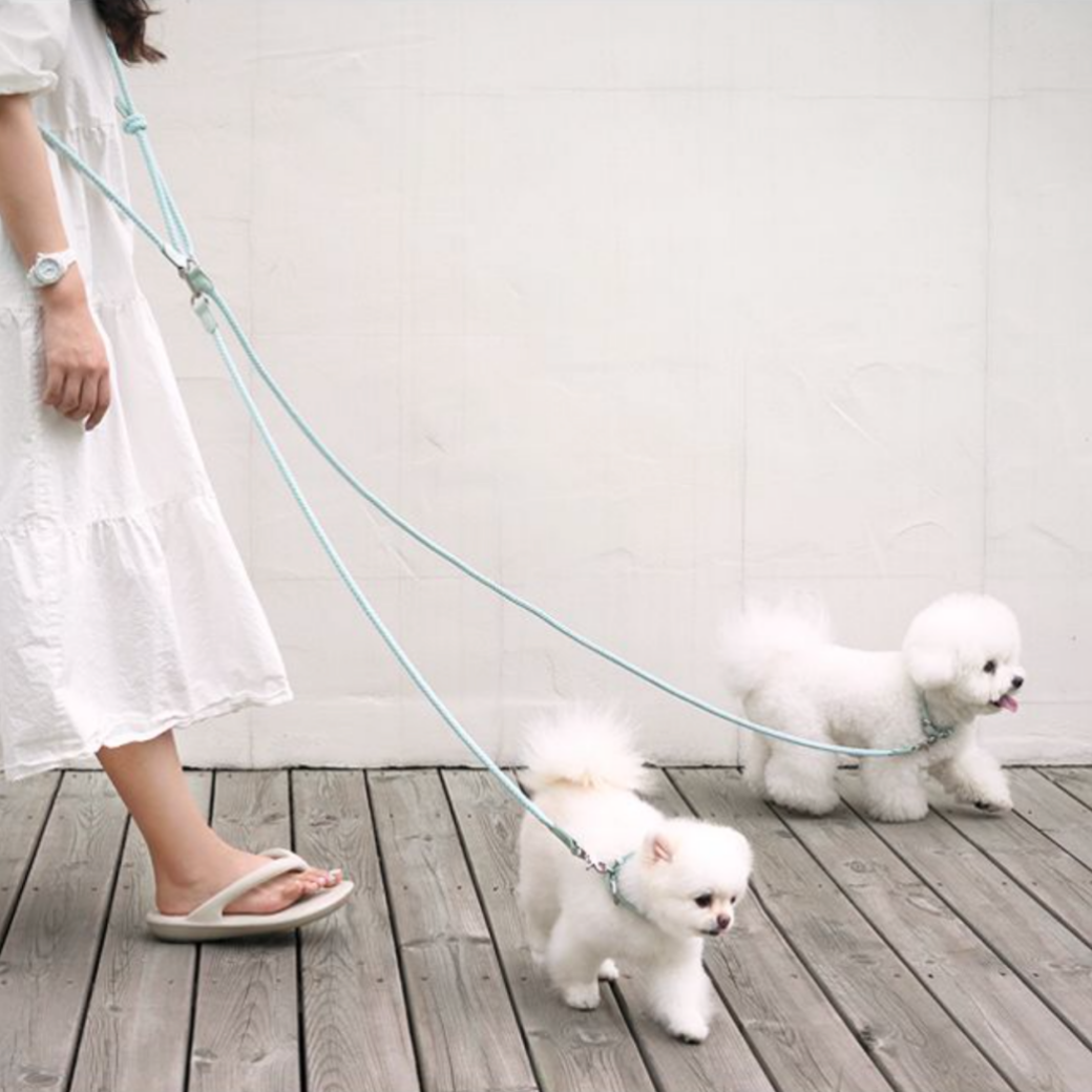 Multi Leash - Sub ※単品利用不可