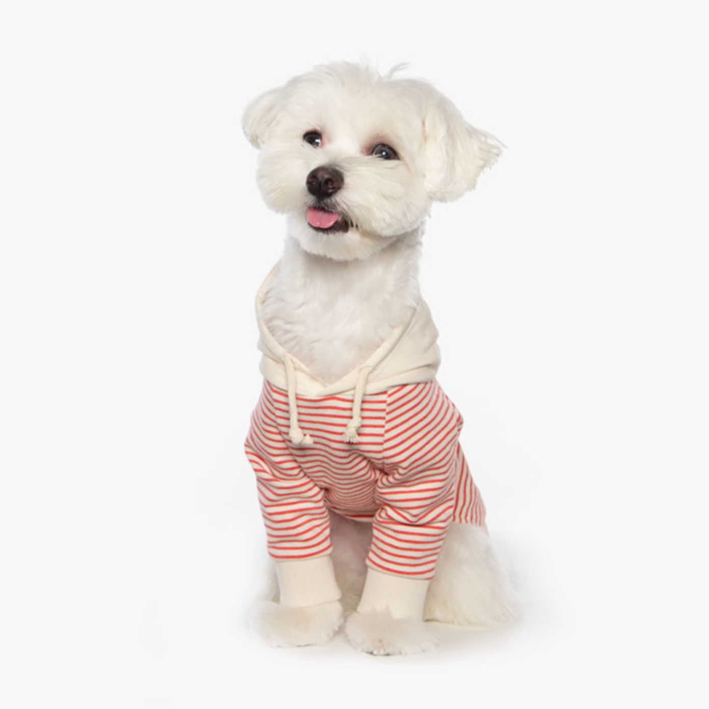 ボーダーフードトップス(レッド)