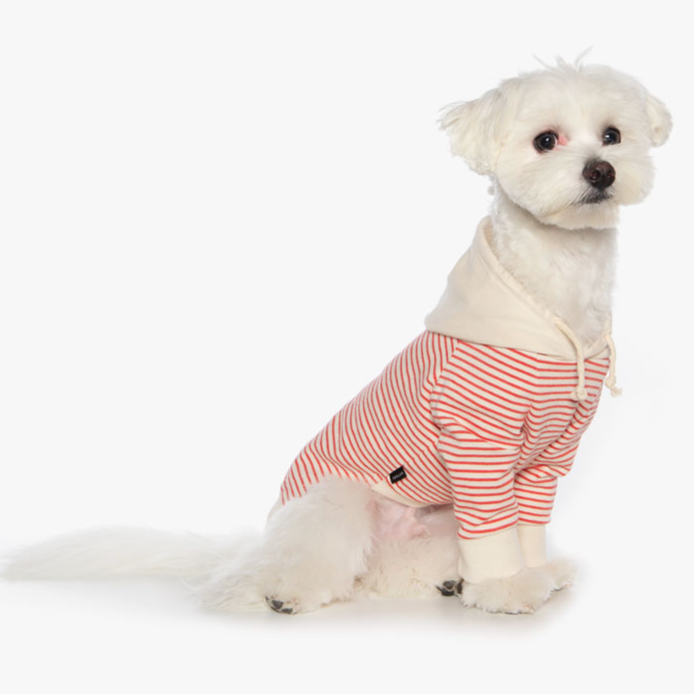 ボーダーフードトップス(レッド)