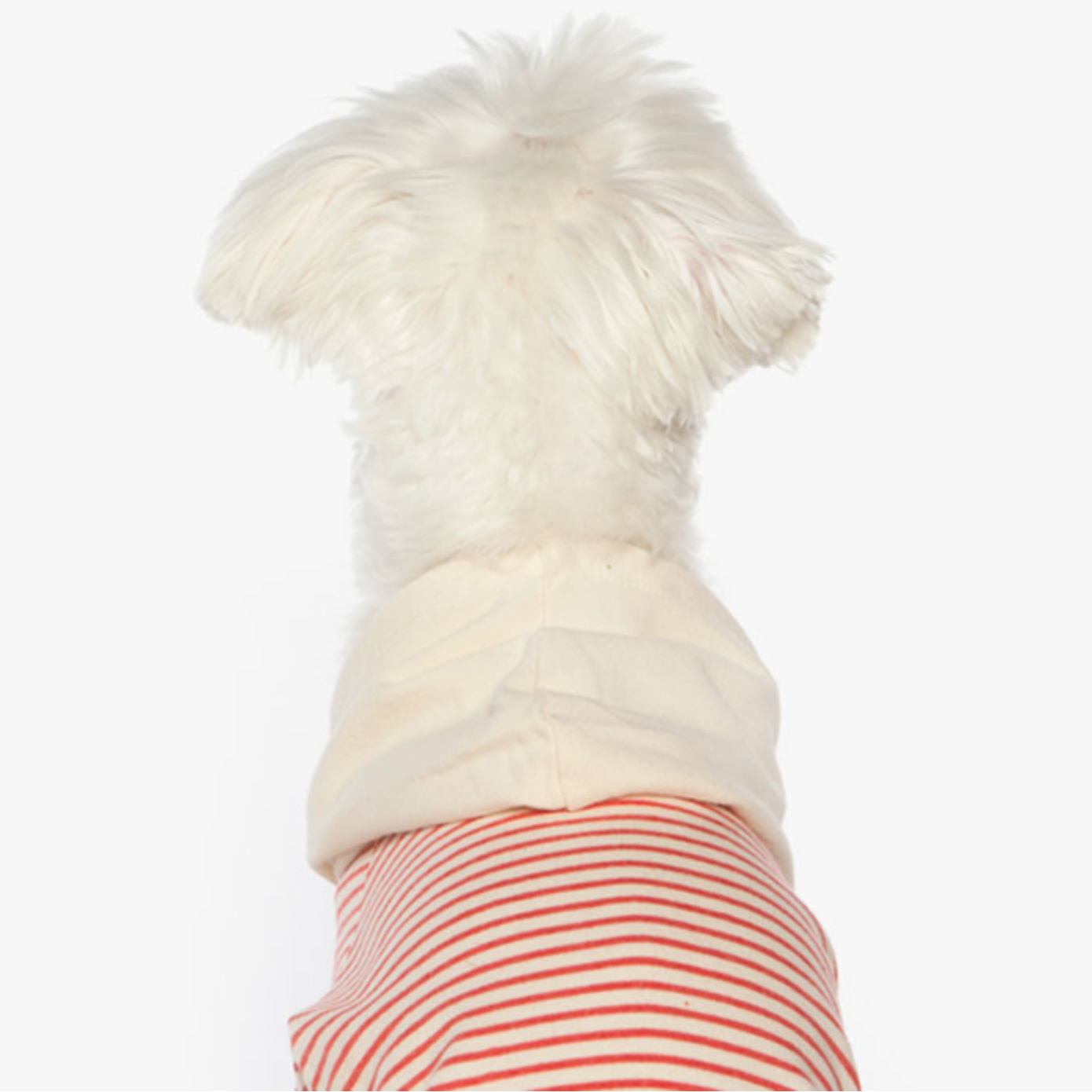 ボーダーフードトップス(レッド)