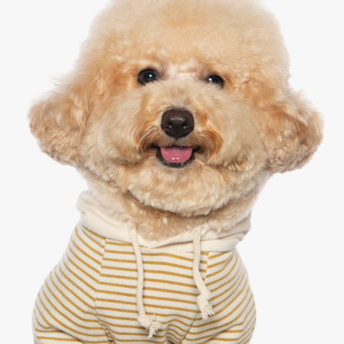 ボーダーフードトップス(マスタード)