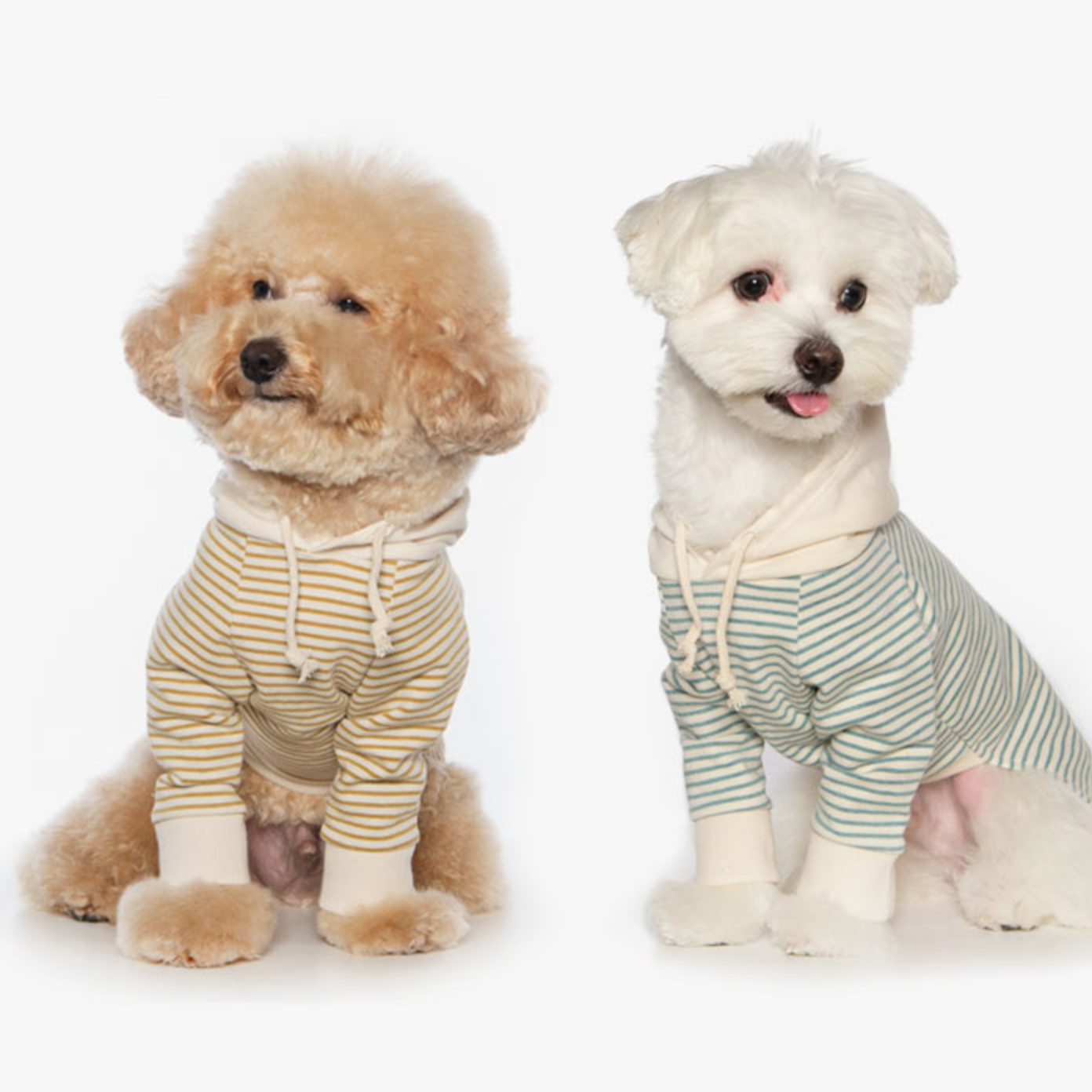 ボーダーフードトップス(マスタード)