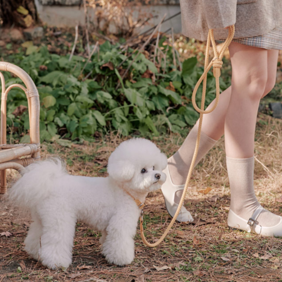 Rope Collar(バナナ)