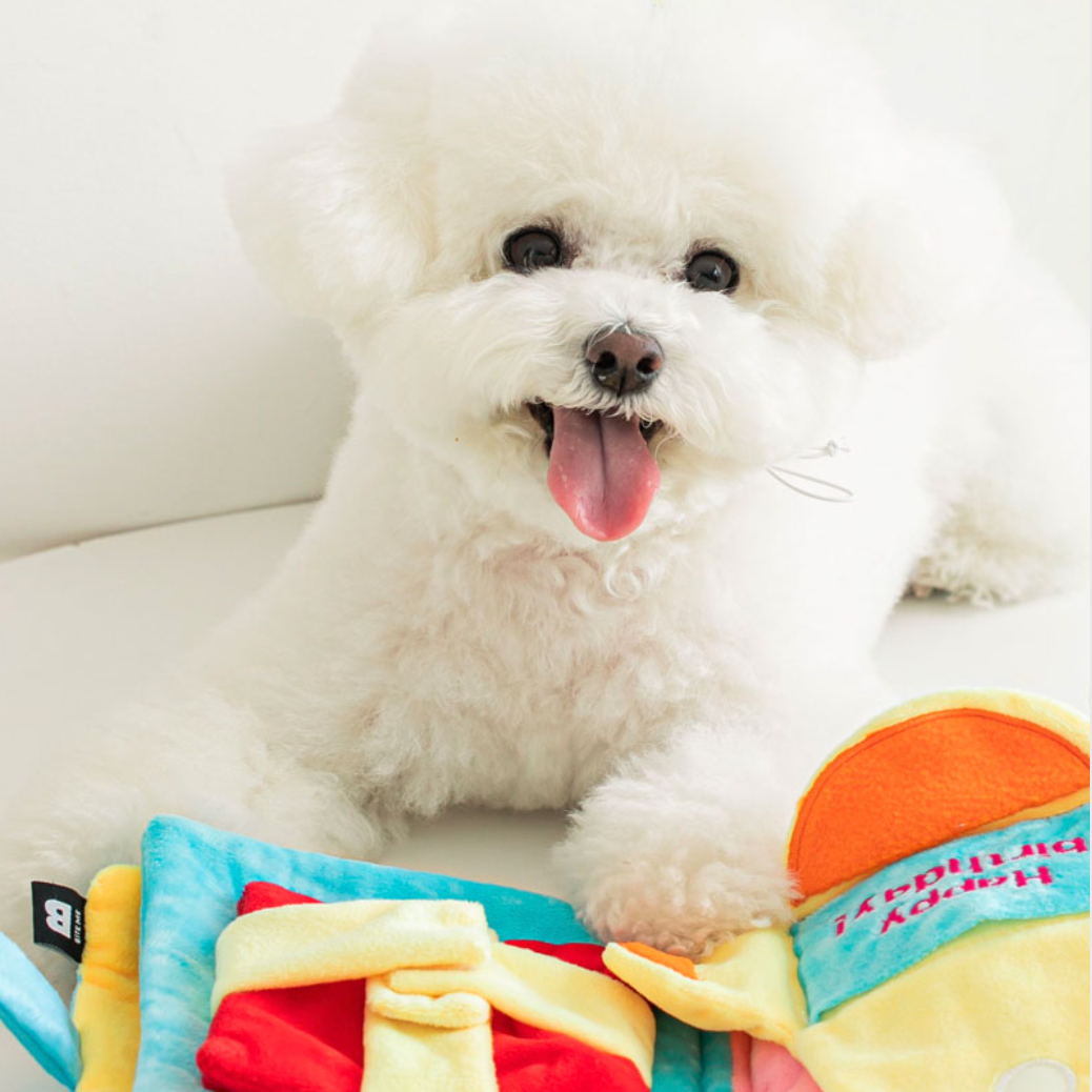 My BirthdayノーズワークTOY