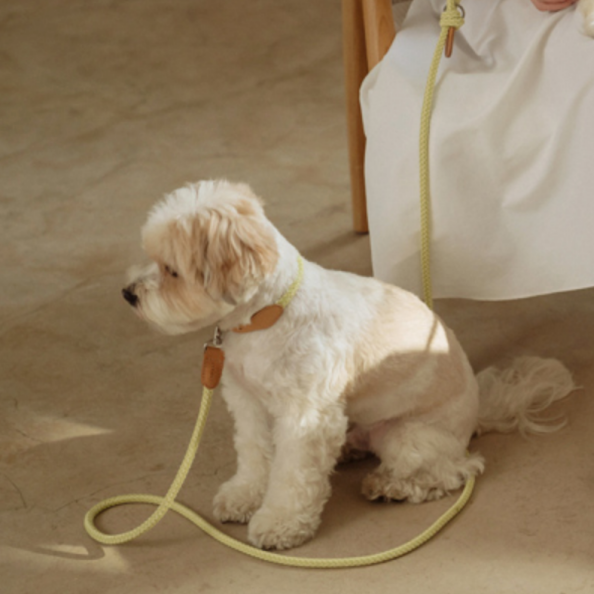 Classic Leash 1.8m 手持ちリード(レモンライム)