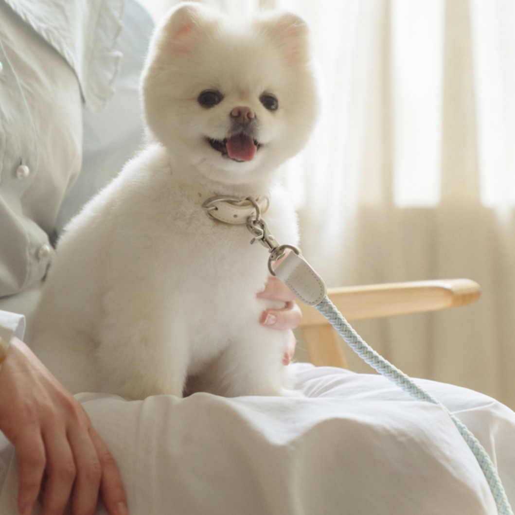 Classic Leash 1.8m 手持ちリード(ソーダ)